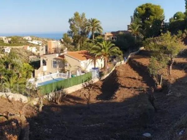 Terreno en calle Adelfas, 356