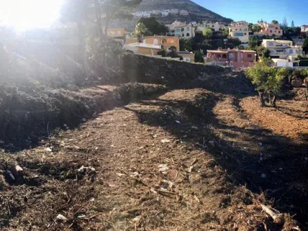 Terreno en calle Adelfas, 356