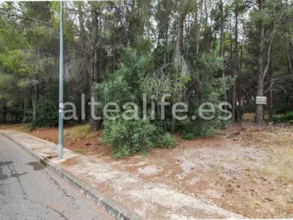 Terreno en calle l´Arbocer
