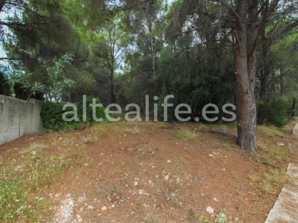 Terreno en calle l´Arbocer