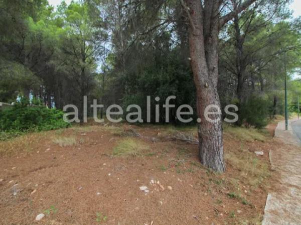 Terreno en calle l´Arbocer