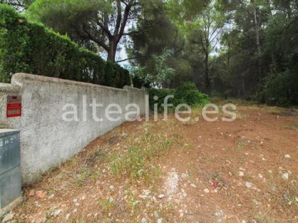 Terreno en calle l´Arbocer