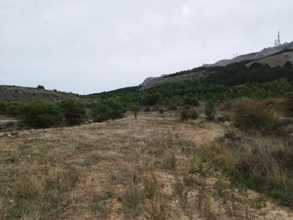 Terreno en Paraje de Aitana s/n