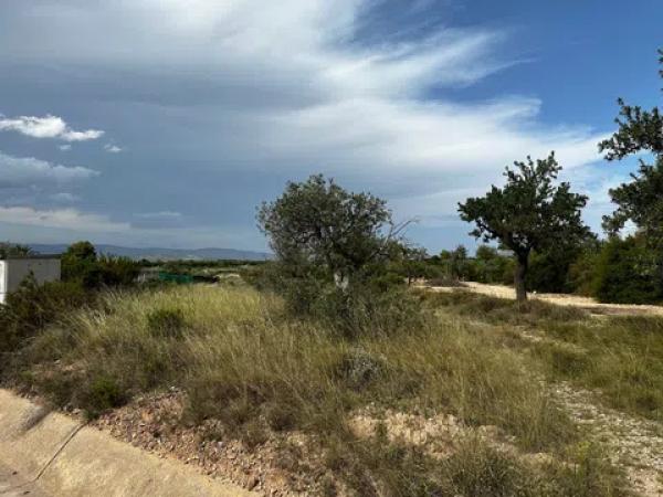 Terreno en camino Cabesols Uo8