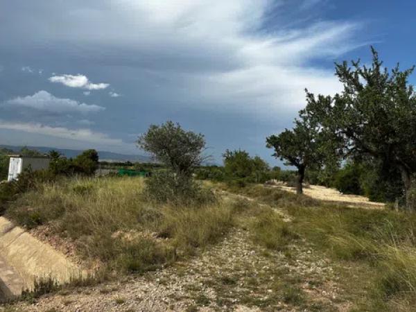 Terreno en camino Cabesols Uo8