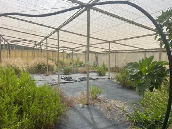 Terreno en El Tossal-Bello Horizonte