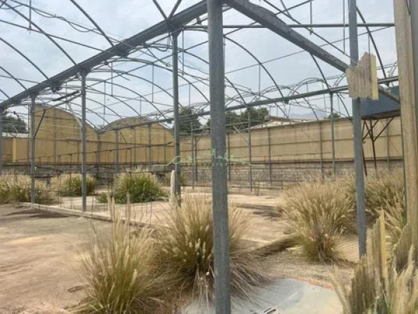 Terreno en El Tossal-Bello Horizonte