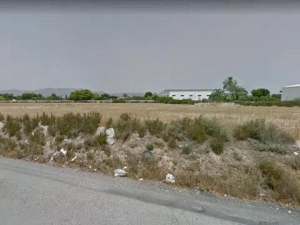 Terreno en Crevillente