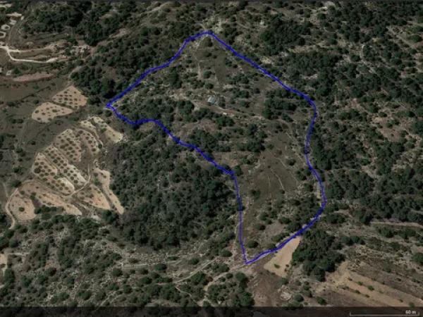 Terreno en camino la boquera s/n