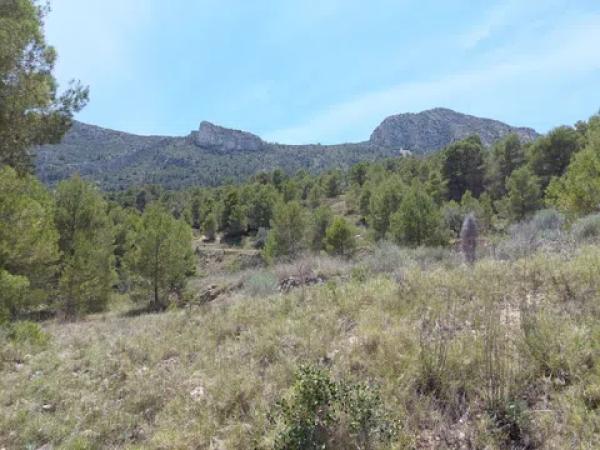 Terreno en camino la boquera s/n