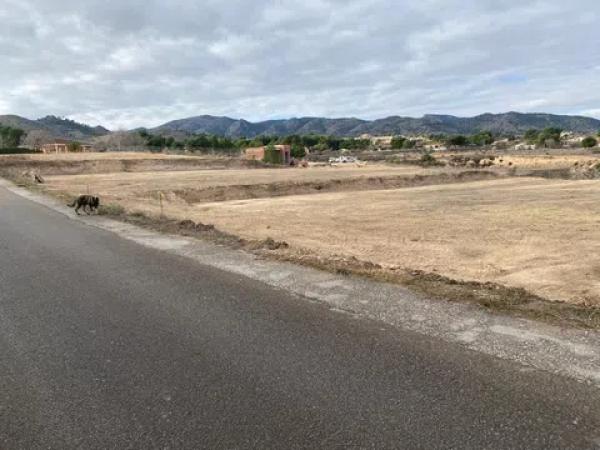 Terreno en Partida Beties, 7