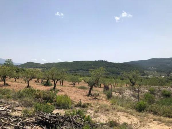 Terreno en Partida Maset, km 3