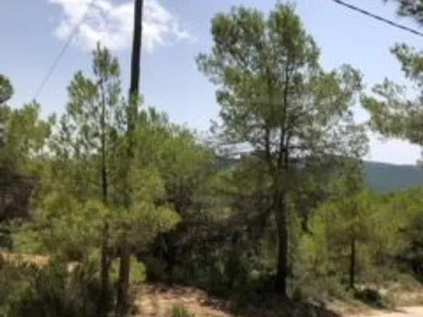 Terreno en Partida Maset, km 3