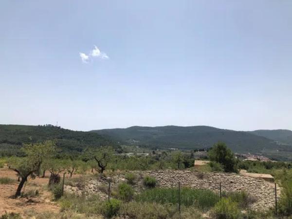 Terreno en Partida Maset, km 3