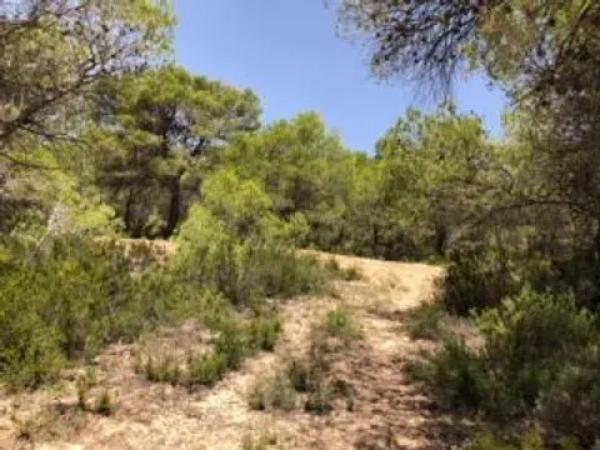 Terreno en Partida Maset, km 3