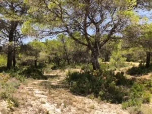 Terreno en Partida Maset, km 3