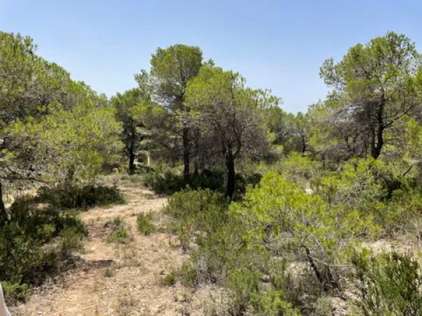 Terreno en Partida Maset, km 3