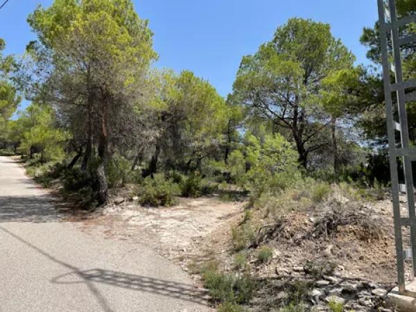 Terreno en Partida Maset, km 3