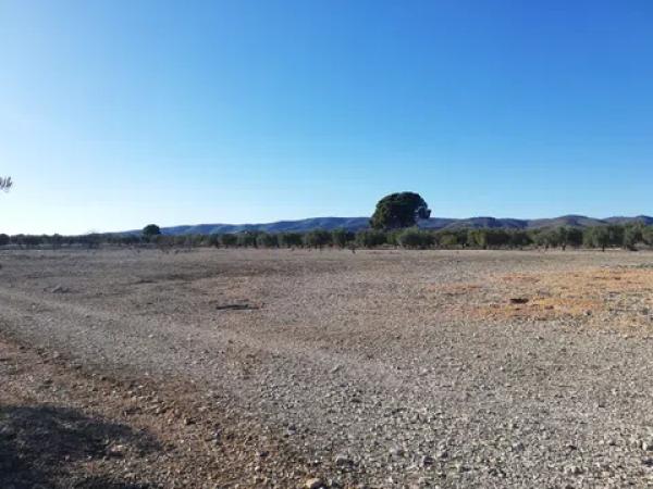 Terreno en seca creu, 1 polparcela