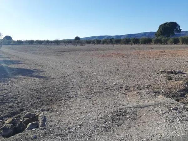 Terreno en seca creu, 1 polparcela