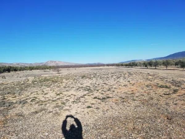 Terreno en seca creu, 1 polparcela