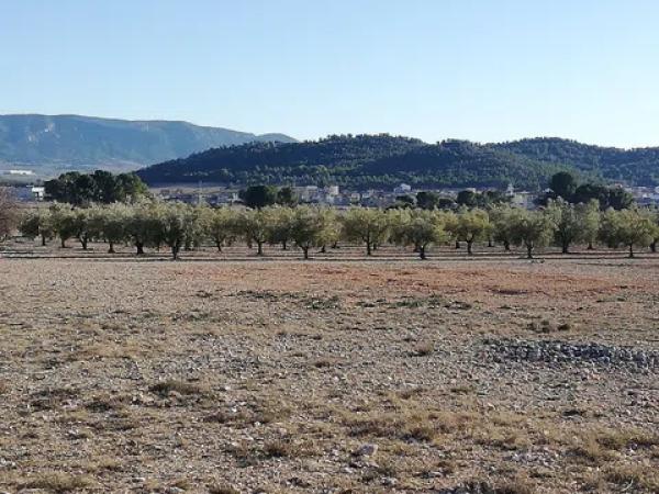 Terreno en seca creu, 1 polparcela