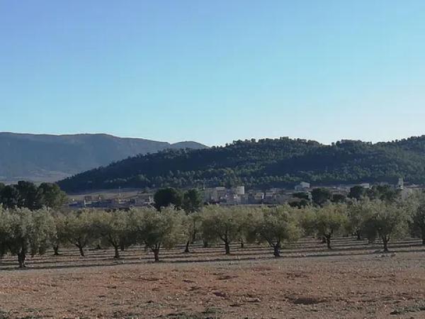 Terreno en seca creu, 1 polparcela