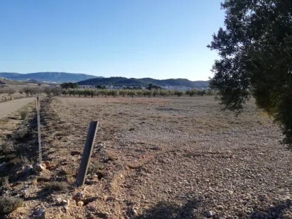 Terreno en seca creu, 1 polparcela