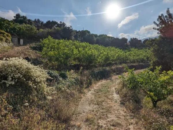 Terreno en Partida Onaer s/n