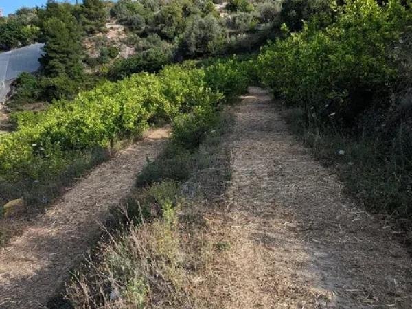 Terreno en Partida Onaer s/n