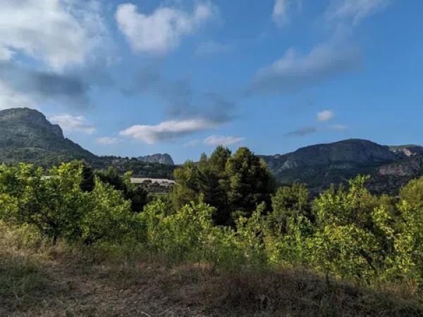 Terreno en Partida Onaer s/n