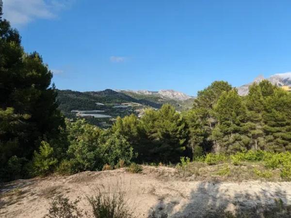 Terreno en Partida Onaer s/n