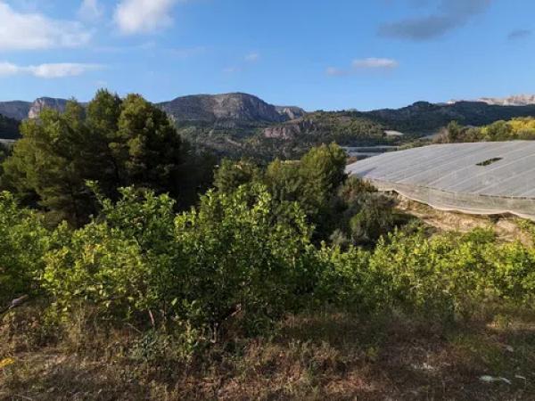 Terreno en Partida Onaer s/n