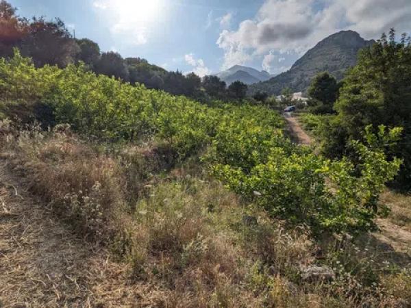 Terreno en Partida Onaer s/n