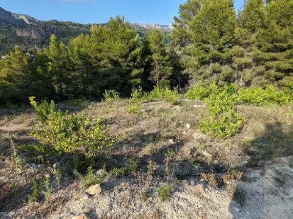 Terreno en Partida Onaer s/n