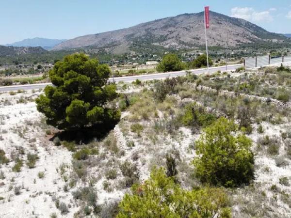 Terreno en calle de Nules