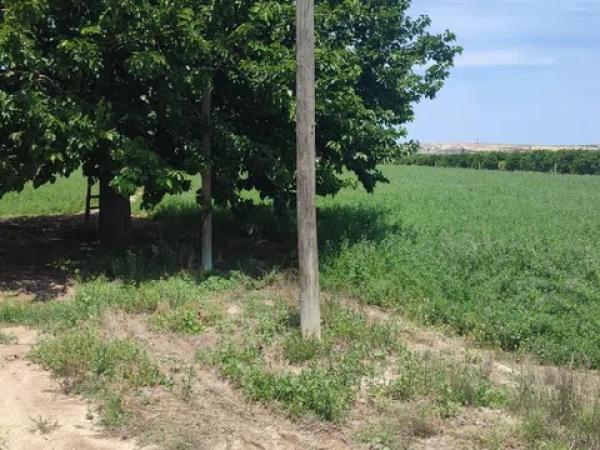 Terreno en Puerto Deportivo