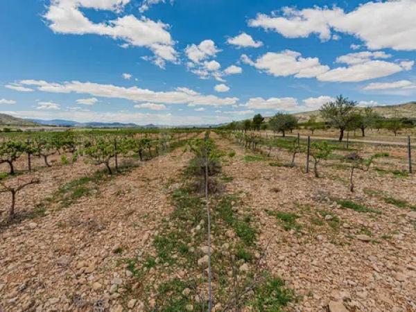 Terreno en Ds Solana 11, 11