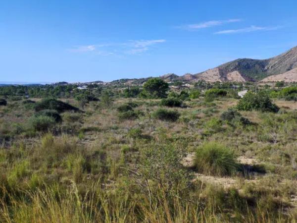 Terreno en Partida de la Fuente s/n