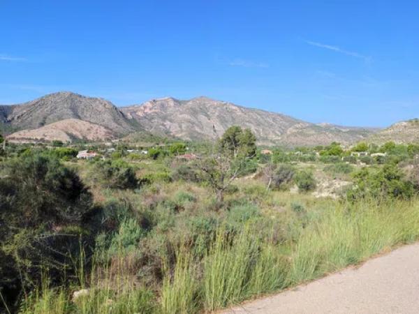 Terreno en Partida de la Fuente s/n