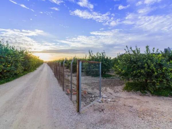Terreno en Benejuzar