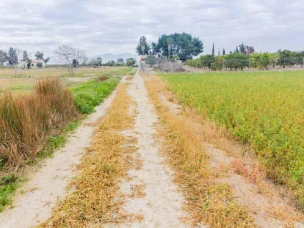 Terreno en Callosa de Segura