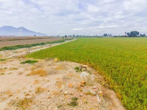 Terreno en Callosa de Segura