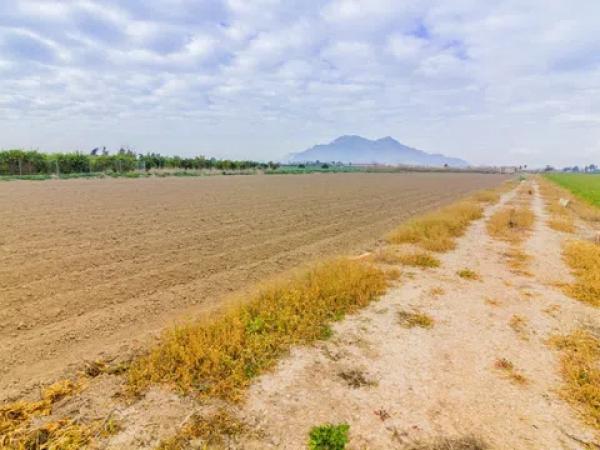 Terreno en Callosa de Segura