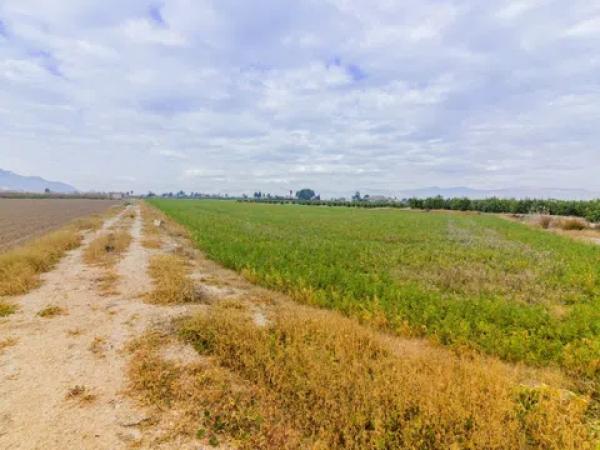 Terreno en Callosa de Segura
