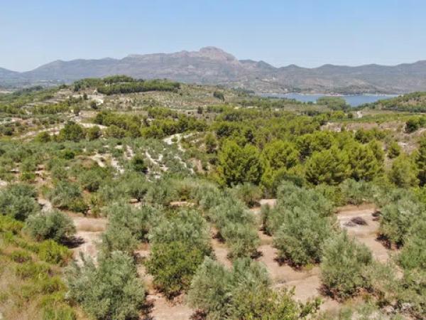 Terreno en Pantano de beniarrés, 1