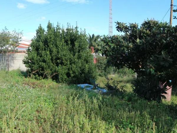 Terreno en El Montgó