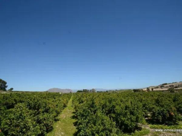 Terreno en Jacarilla