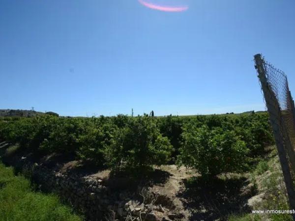 Terreno en Jacarilla