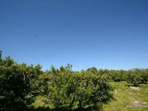 Terreno en Jacarilla